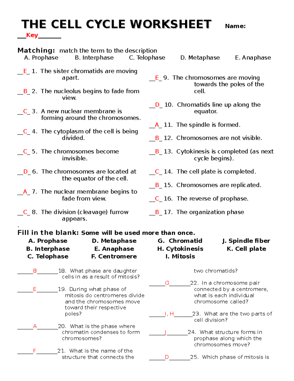Cell Cycle Worksheet Answers Complete Study Guide Studocu