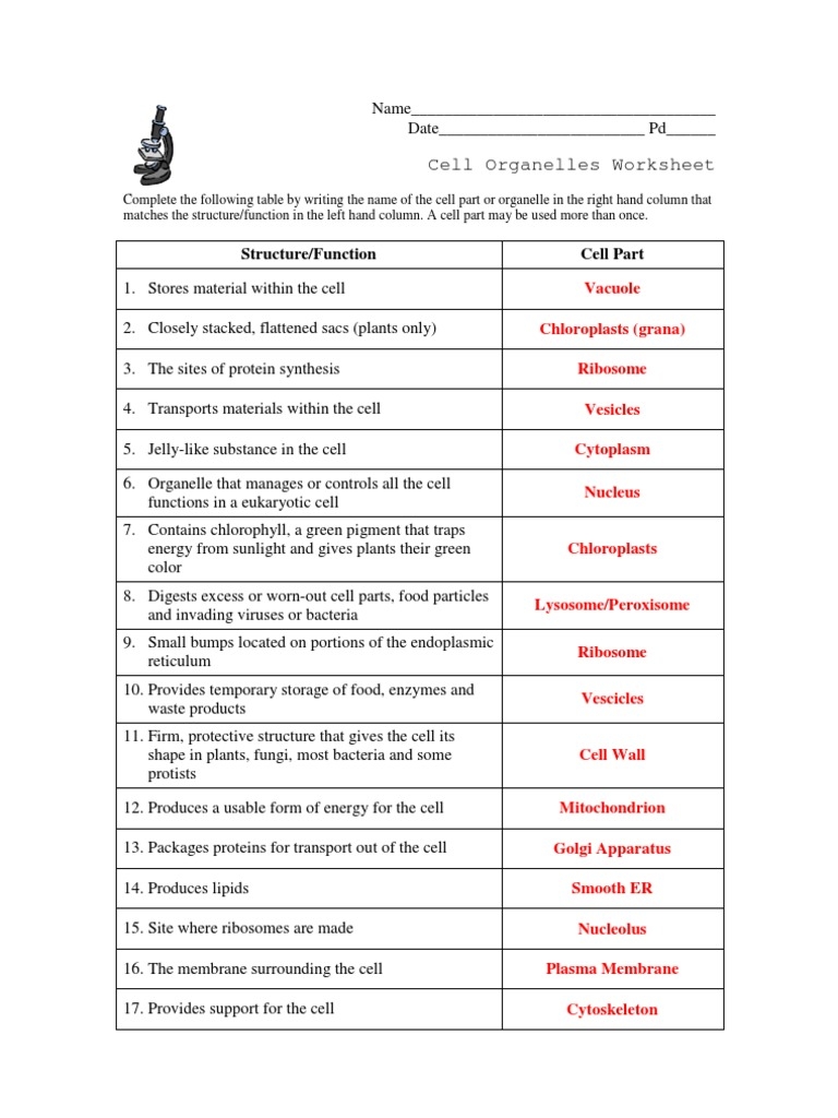 Cell Organelles Worksheet KEY PDF Cell Biology Cell Membrane Worksheets Library Cell Organelles Worksheet KEY PDF Cell Biology Cell Membrane Worksheets Library