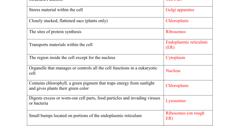Cell Organelles Worksheet Structure Function