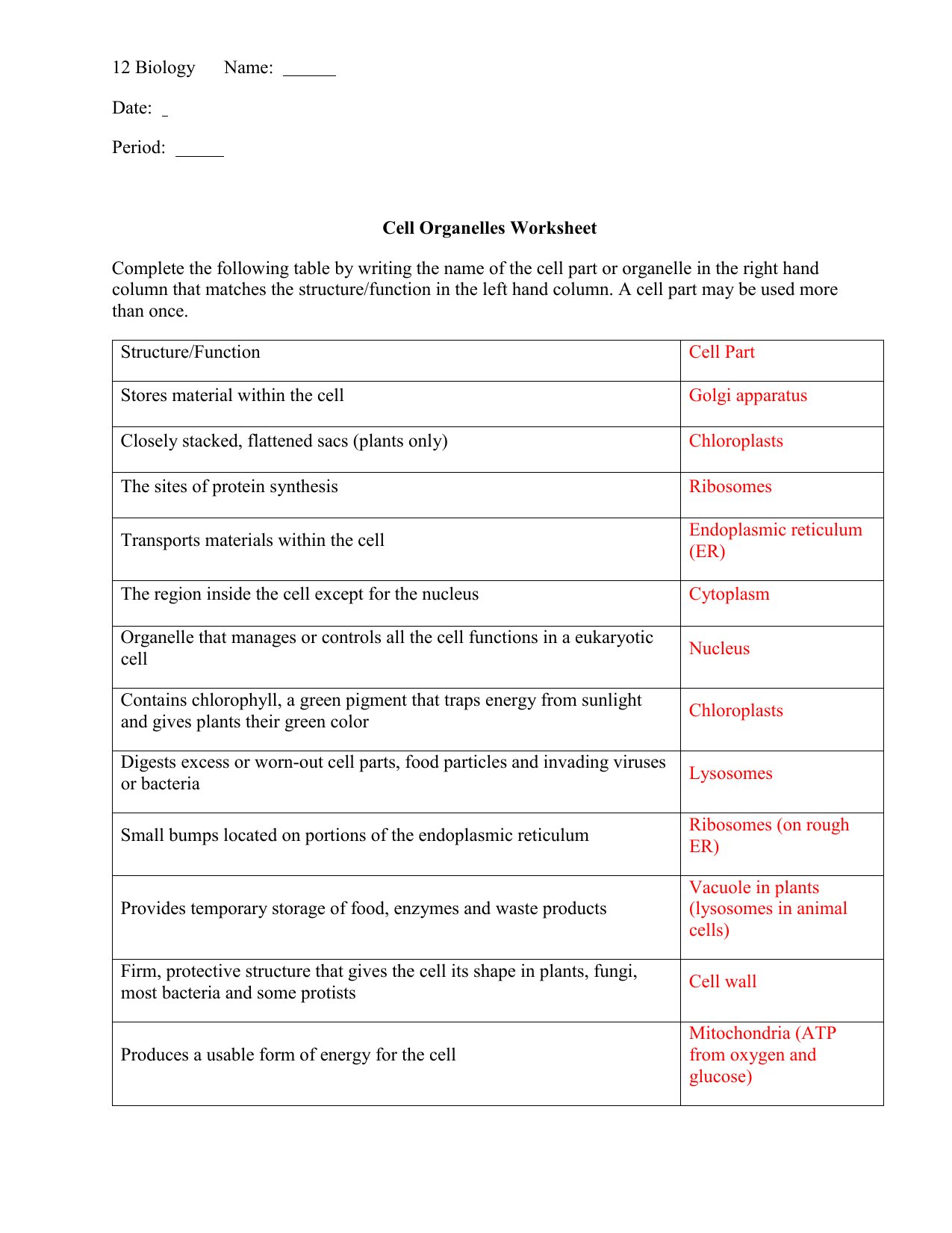 Cell Organelles Worksheet Structure Function Cell Organelles Worksheet Structure Function