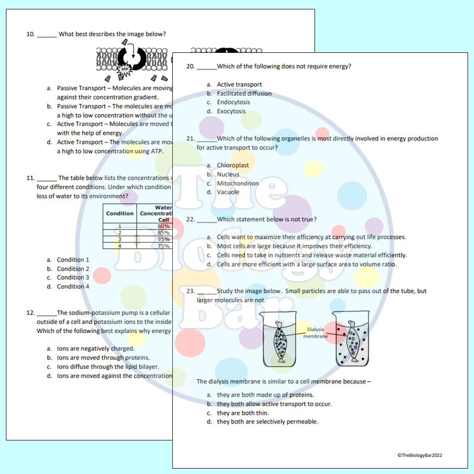 cell transport review worksheet cell transport review worksheet