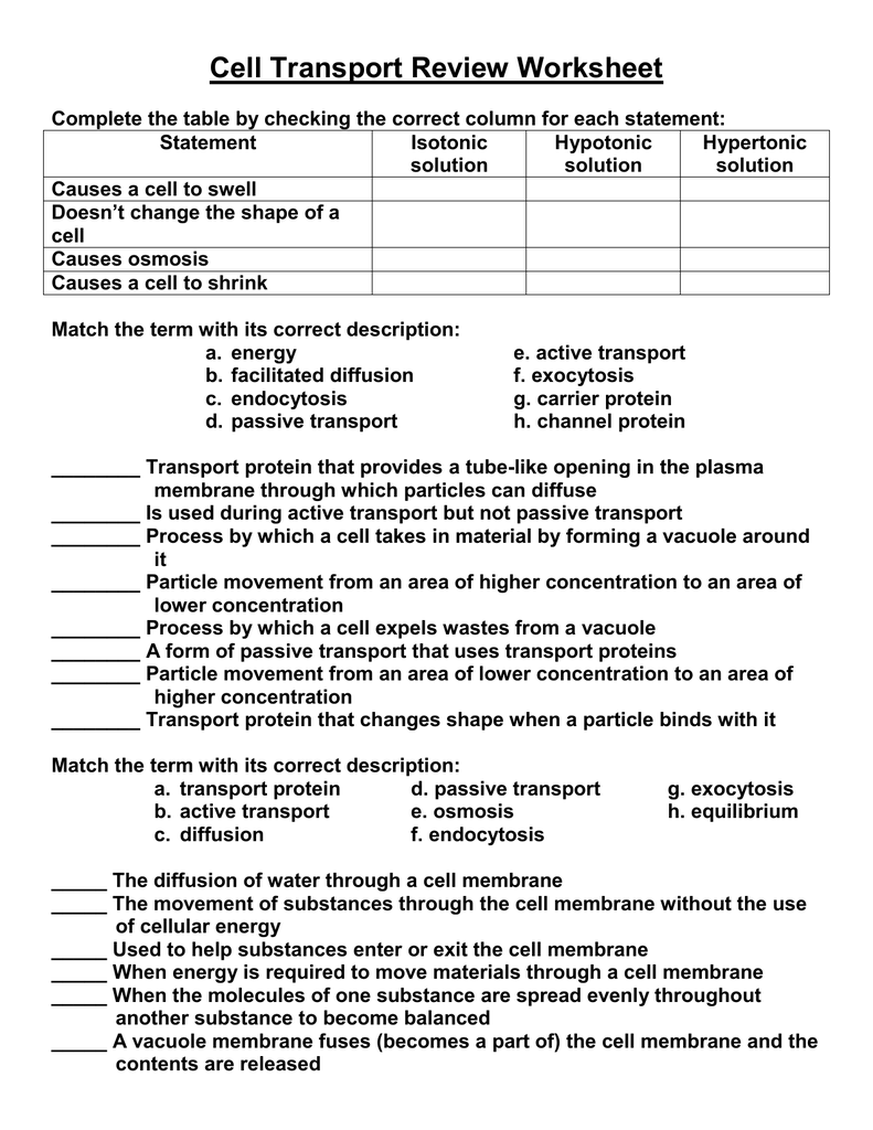 Cell Transport Review Worksheet Cell Transport Review Worksheet