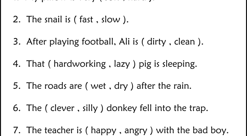 Circle The Adjectives Grammar Worksheets 2nd And 3rd Grade Made By Teachers