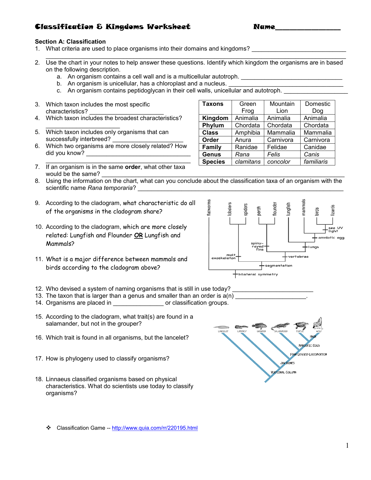 Classification Kingdoms Worksheet Classification Kingdoms Worksheet
