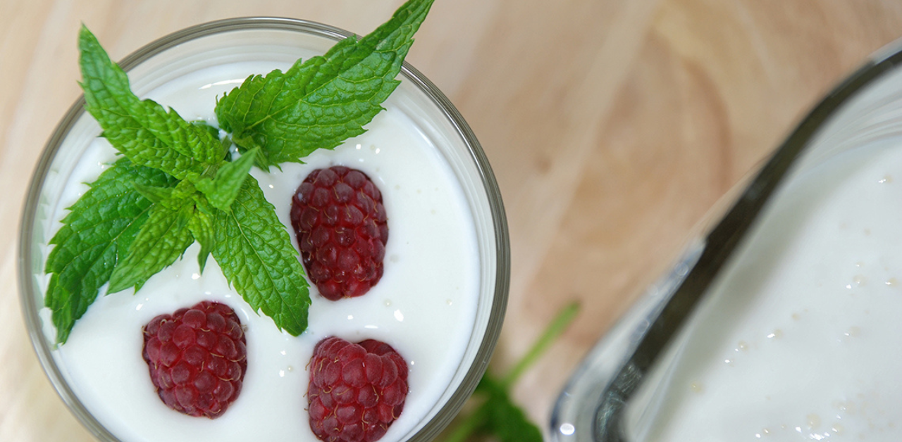 cold yogurt drink crossword