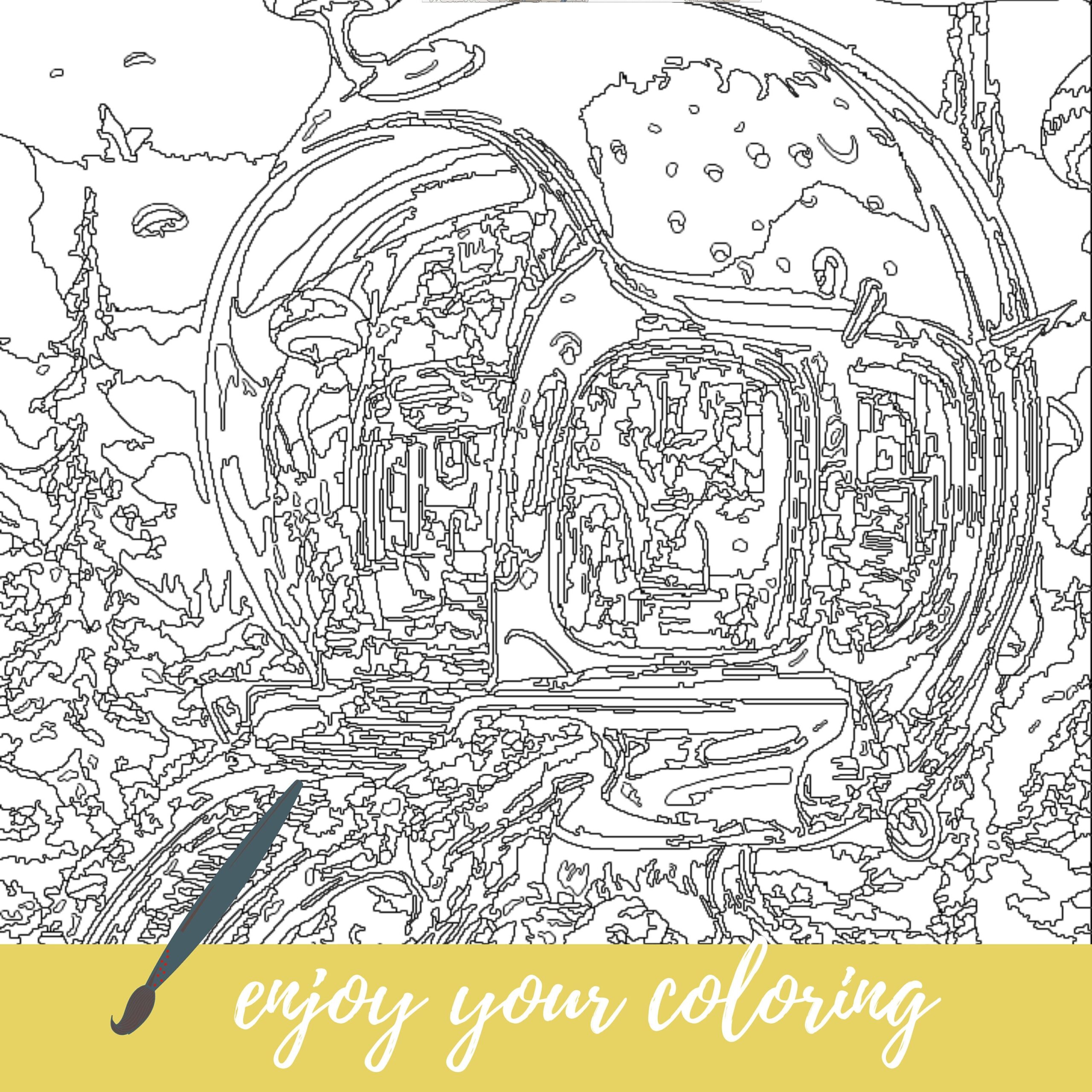 Color By Number For Adult Paint By Number Printable Fairy Spacehouse Coloring Pages sheets Digital Download advanced Detailed Book 873 Etsy