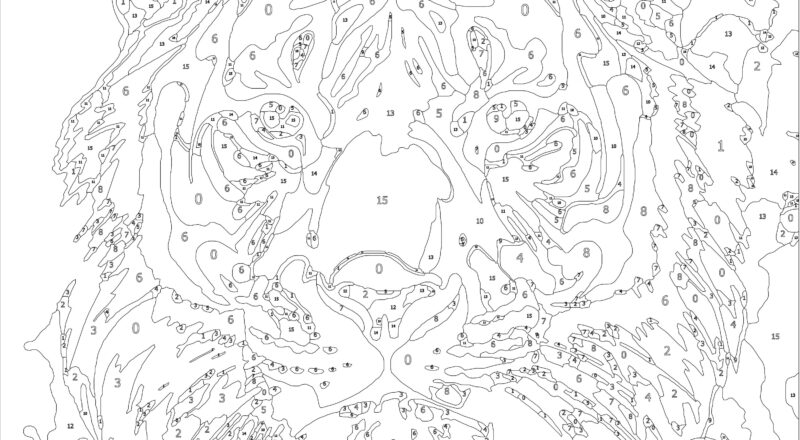 Color By Number For Adult Paint By Number Printable wild Animal Coloring Pages sheets Digital Download advanced Detailed Book 352 Etsy