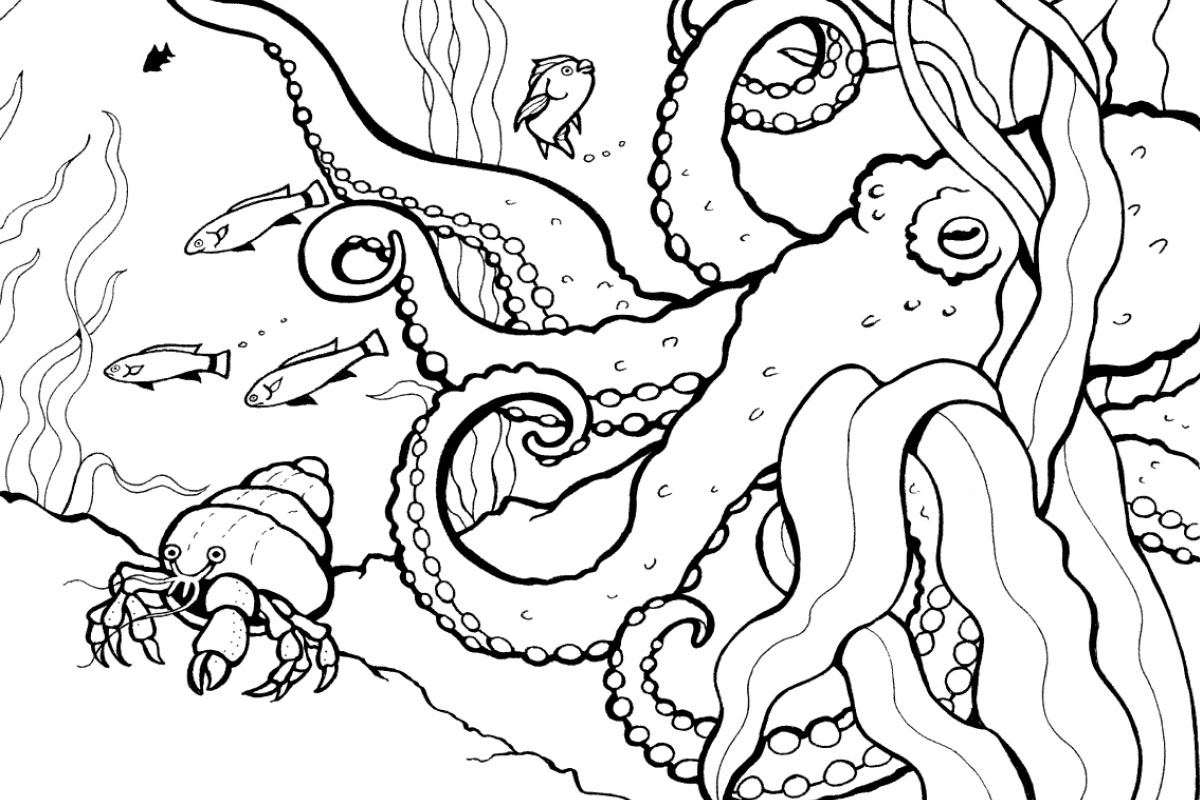 ocean coloring worksheets
