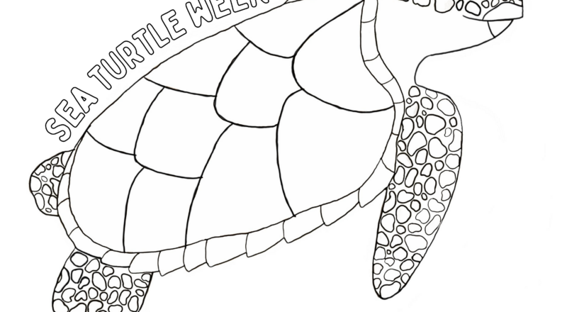 Coloring Sheets SeaTurtleWeek