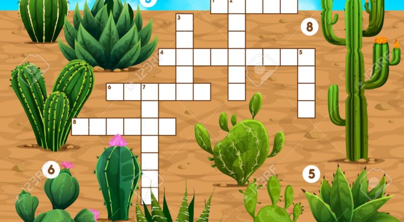 Crossword Quiz Game Grid Mexican Prickly Cactus Succulents Crossword Puzzle Word Search Vocabulary Quiz Vector Worksheet With Texas Desert Prickly Succulent Plants Mexican Nature Cactuses Royalty Free SVG Cliparts Vectors And Stock