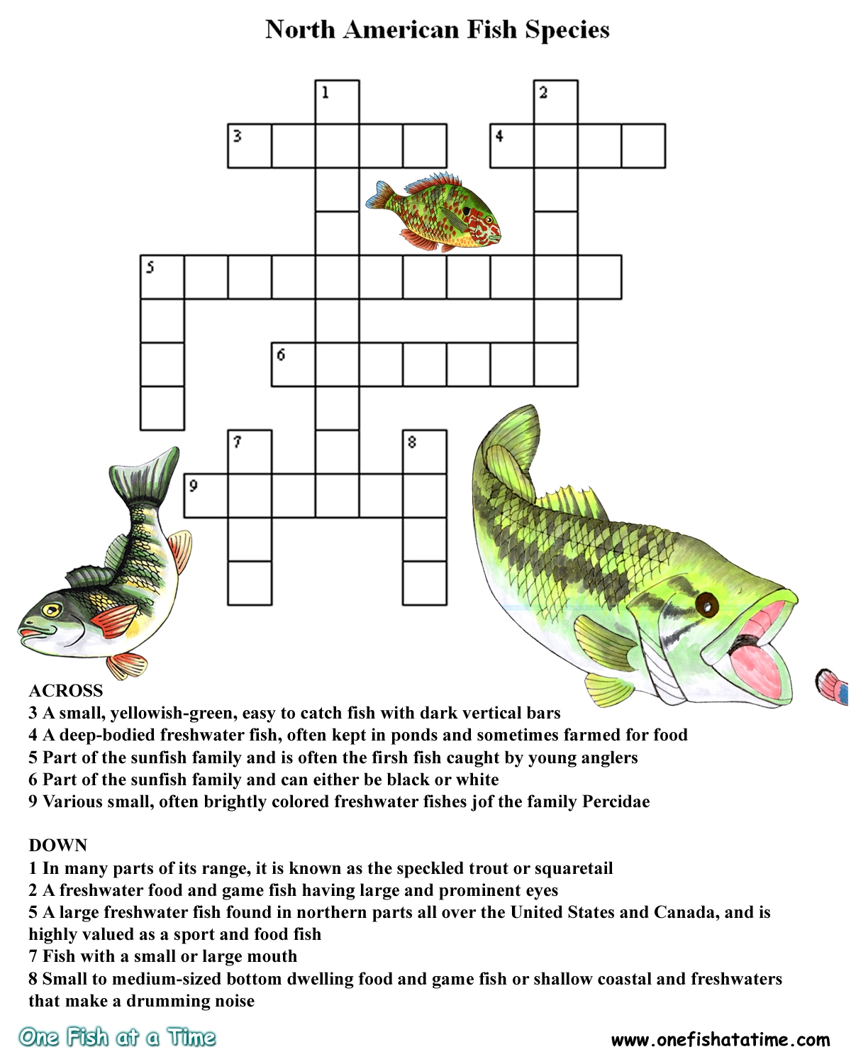 Crosswords One Fish At A Time