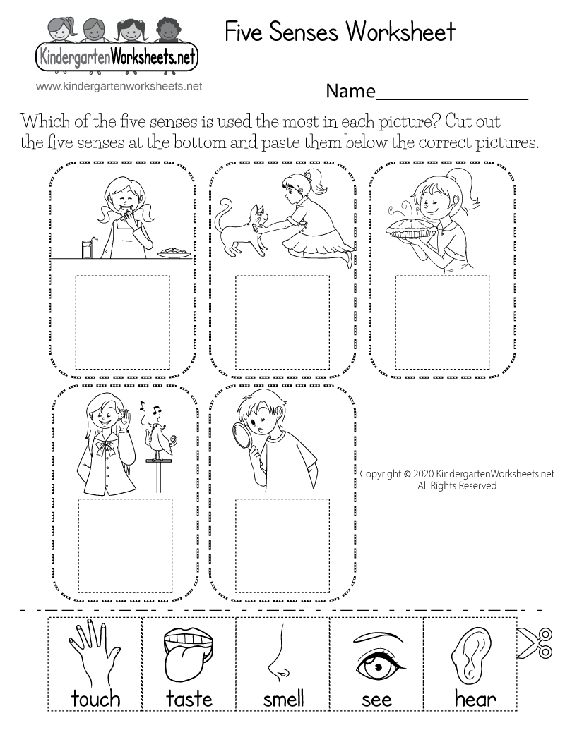 kindergarten science worksheets