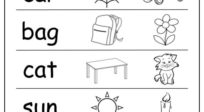 CVC Words Phonics Worksheets Kindergarten Read Choose digital Download Etsy