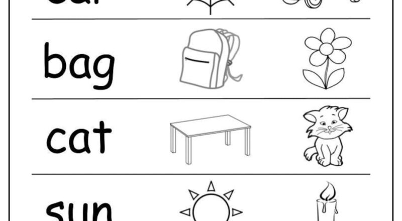 CVC Words Phonics Worksheets Kindergarten Read Choose digital Download Etsy