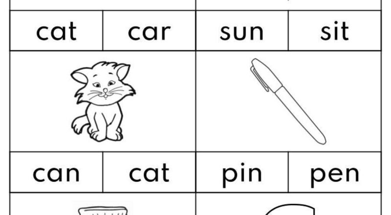 CVC Words Worksheet Color The Word Phonics Printable PDF Etsy