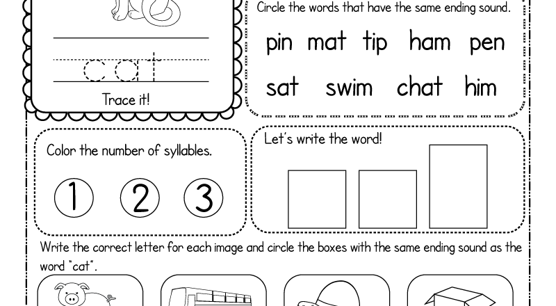 CVC Words Worksheet Free Printable Digital PDF