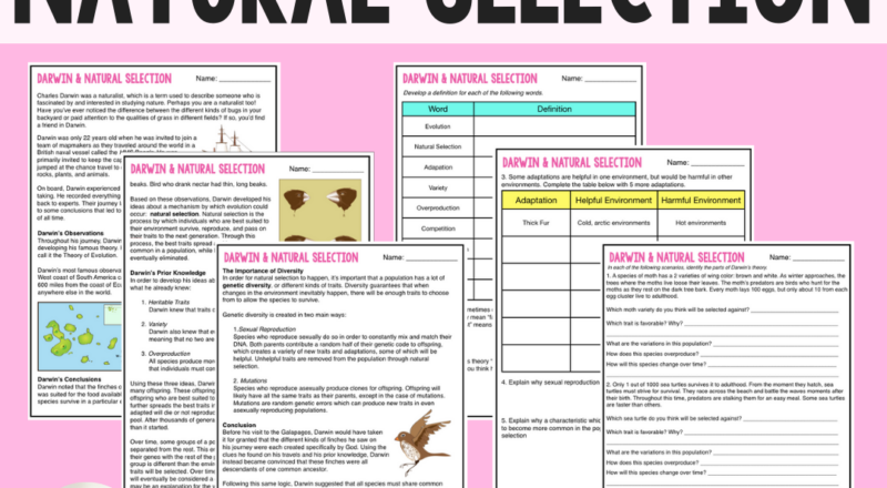Darwin Natural Selection Evolution Guided Reading Worksheet