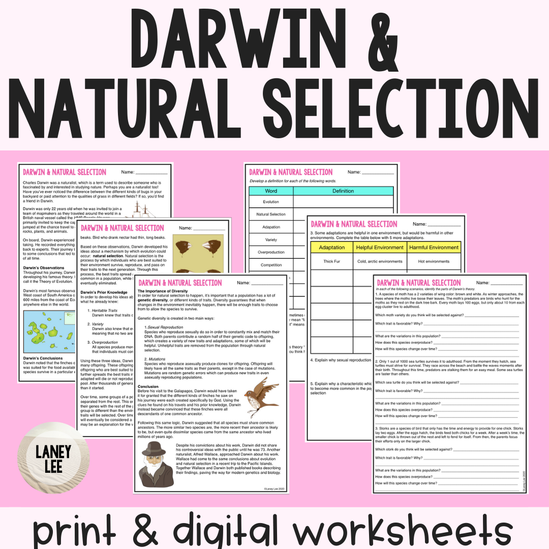 Darwin Natural Selection Evolution Guided Reading Worksheet Darwin Natural Selection Evolution Guided Reading Worksheet