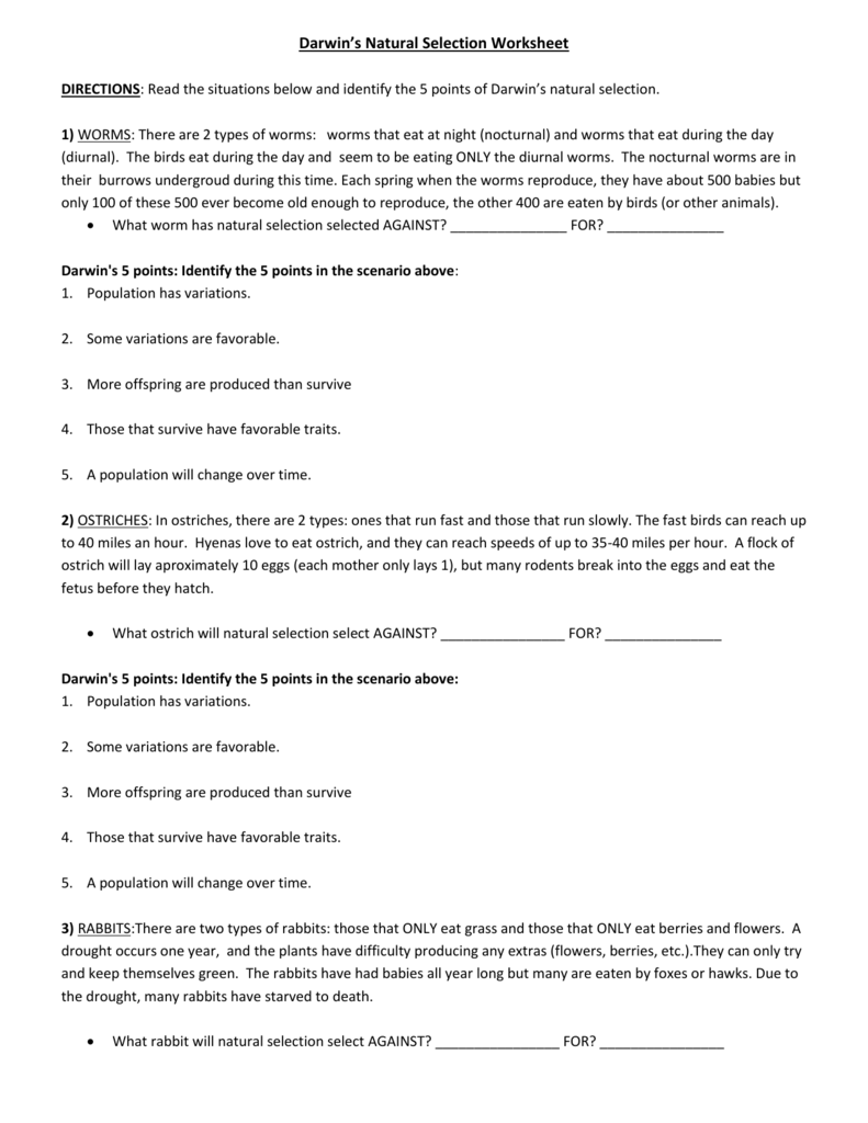 darwin's natural selection worksheet darwin's natural selection worksheet