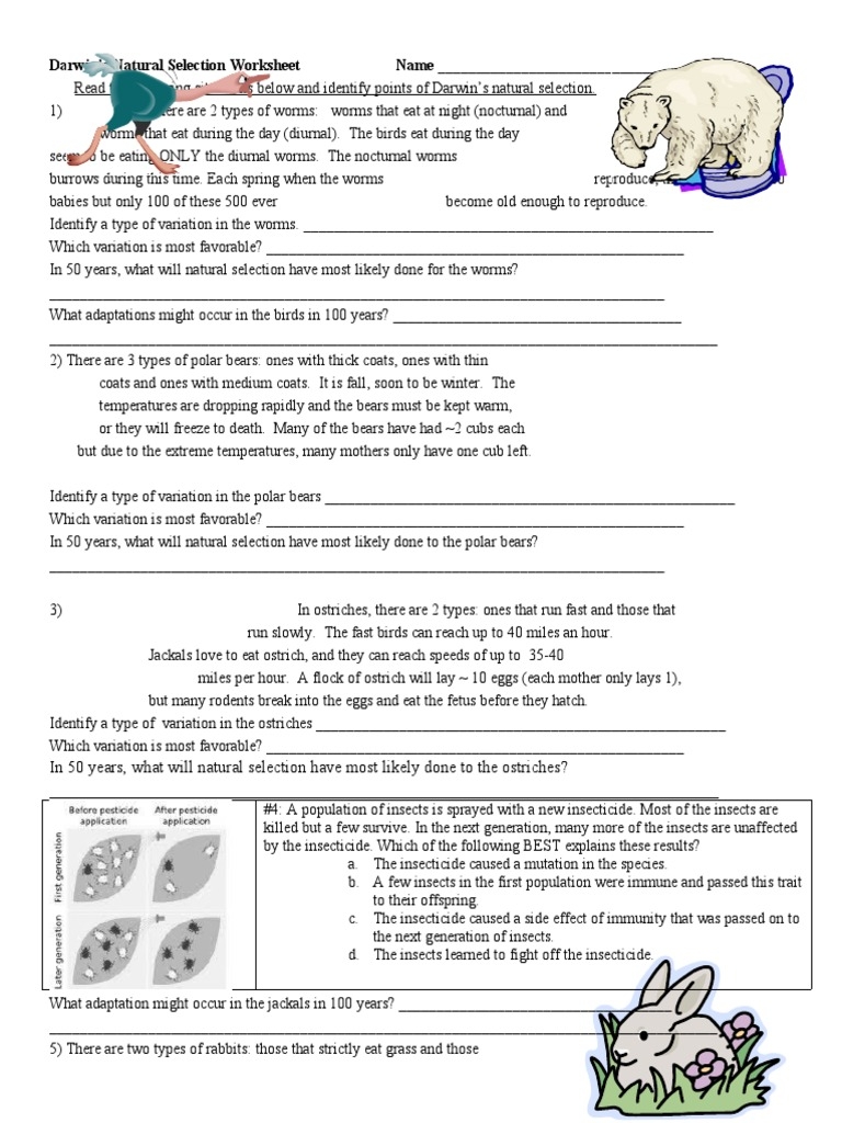Darwins Natural Selection Worksheet Worksheets Library Darwins Natural Selection Worksheet Worksheets Library