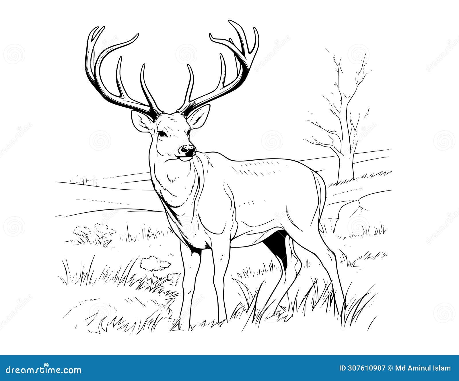 deer coloring page