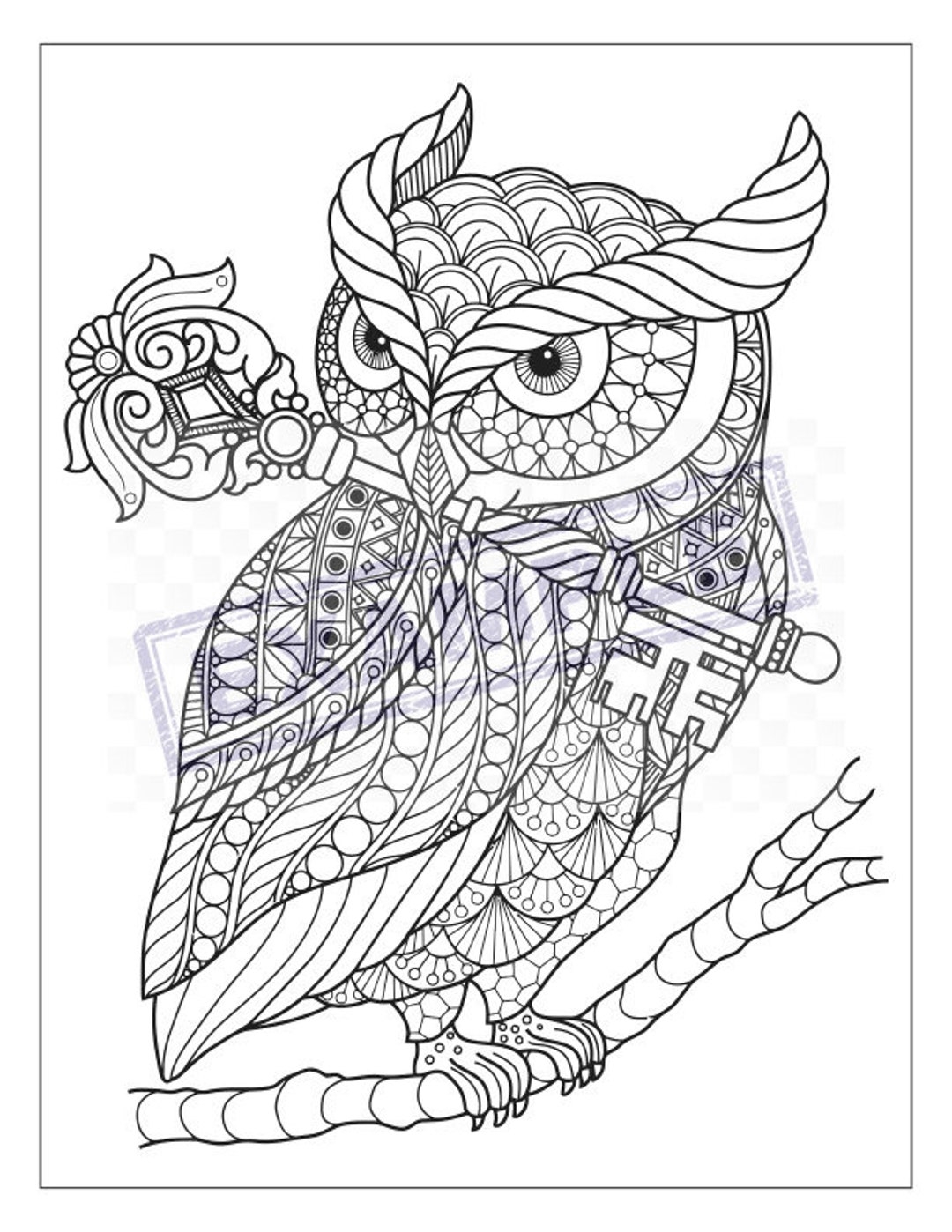 Detailed Coloring Pages Intricate Designs PDF Etsy Detailed Coloring Pages Intricate Designs PDF Etsy