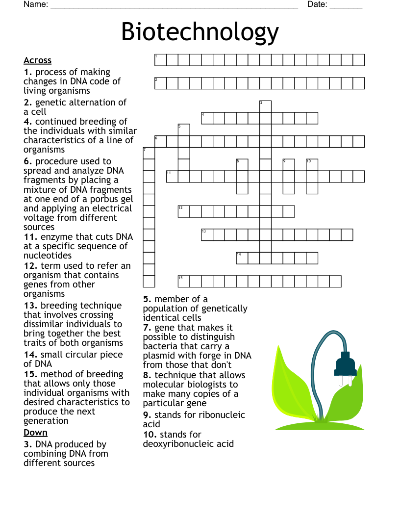 Differential Tests Crossword WordMint Differential Tests Crossword WordMint