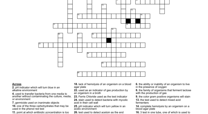Differential Tests Crossword WordMint