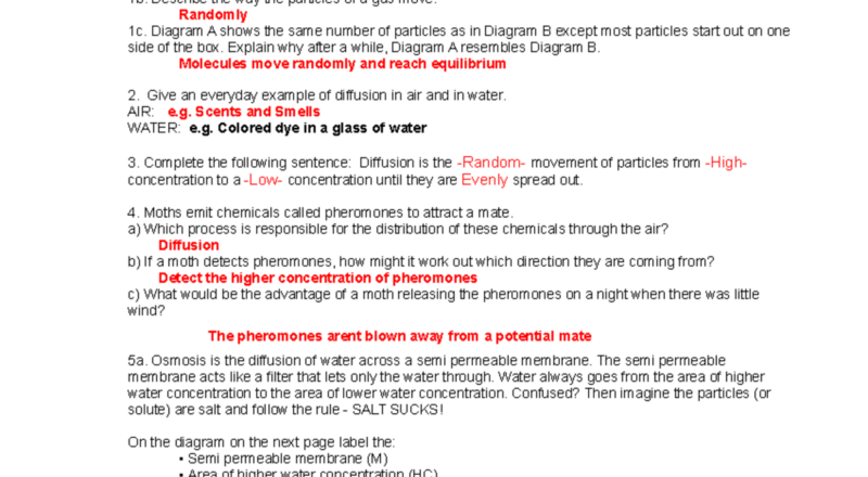 Diffusion And Osmosis Worksheet KEY 08 Concepts And Examples Studocu