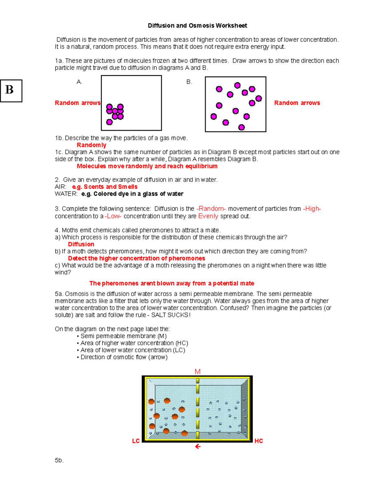 Diffusion And Osmosis Worksheet KEY 08 Concepts And Examples Studocu Diffusion And Osmosis Worksheet KEY 08 Concepts And Examples Studocu