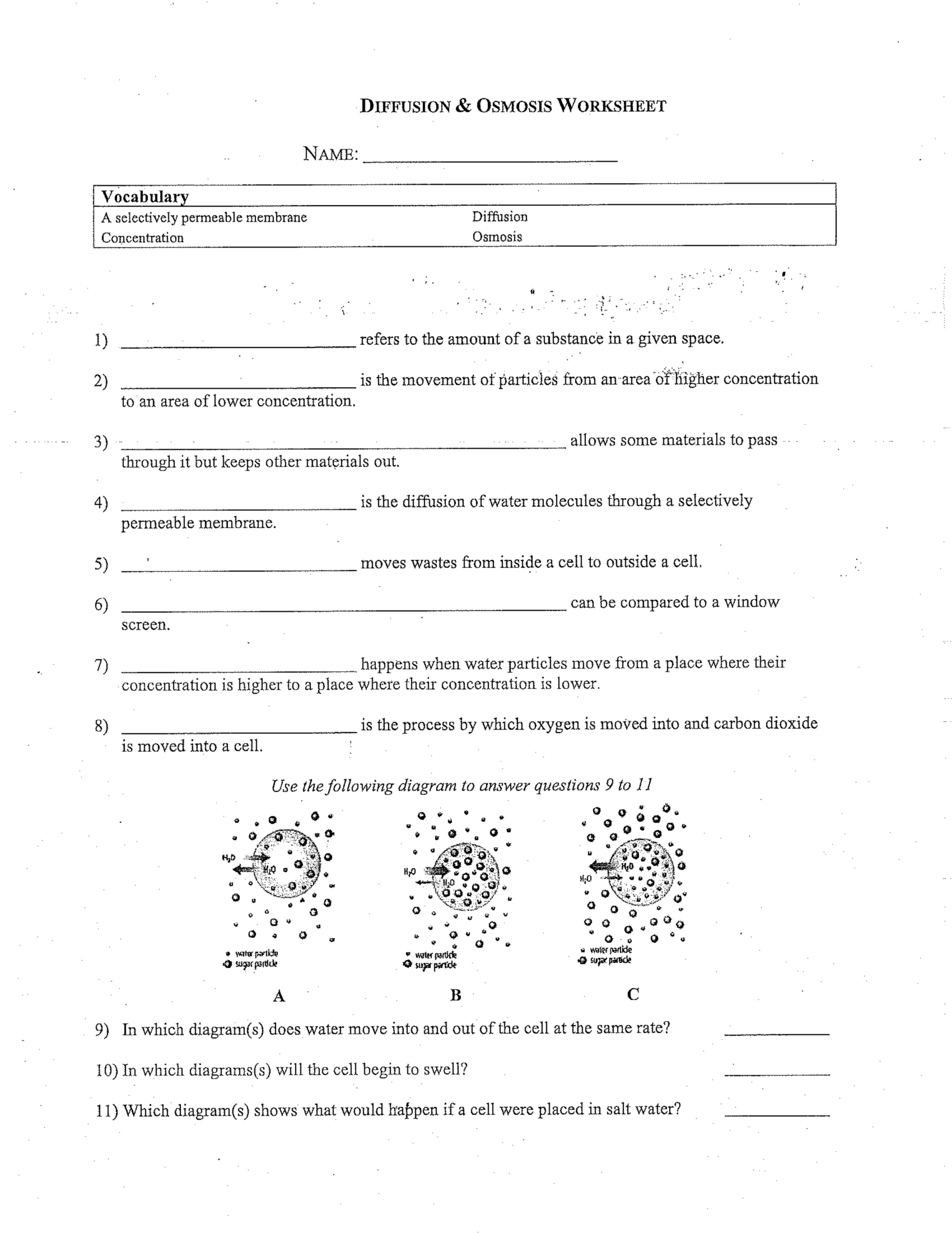Diffusion Osmosis Worksheet Heather Sanborn Library Formative Diffusion Osmosis Worksheet Heather Sanborn Library Formative