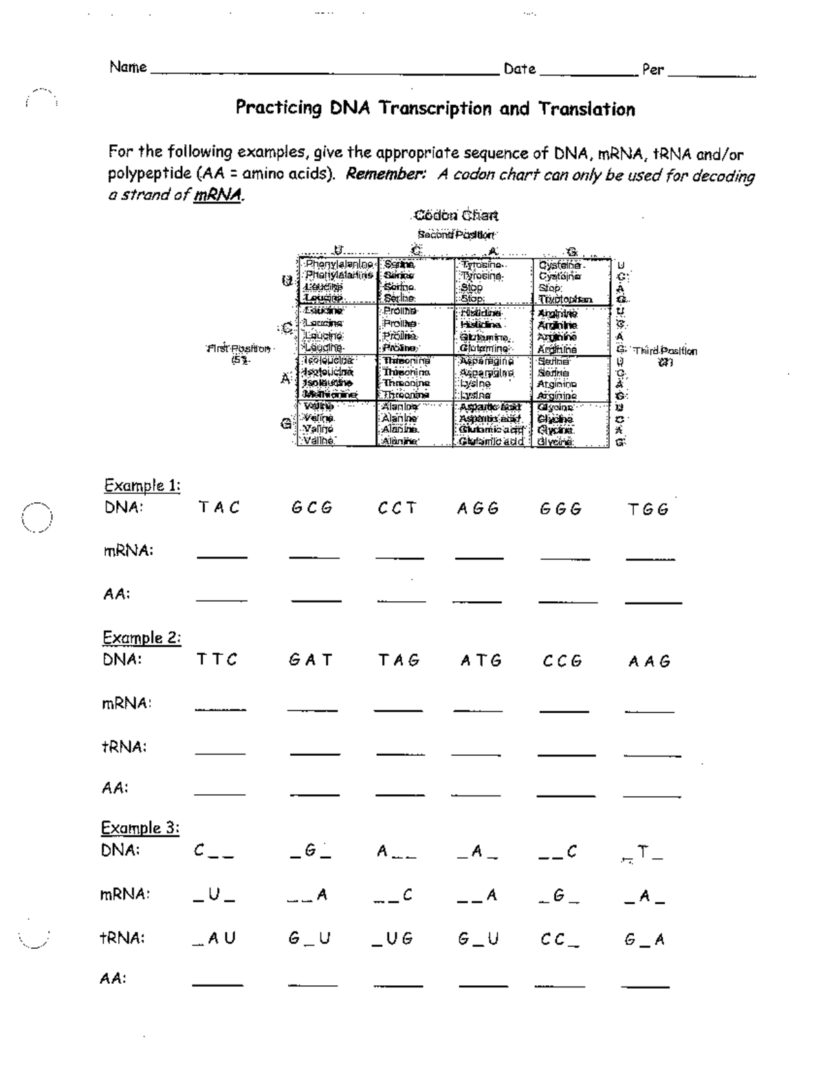 DNA Transcription And Translation Practice KEY BIOL 101 Studocu DNA Transcription And Translation Practice KEY BIOL 101 Studocu