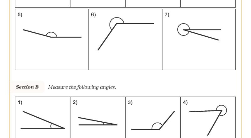 Drawing And Measuring Angles Worksheet Printable Maths Worksheets