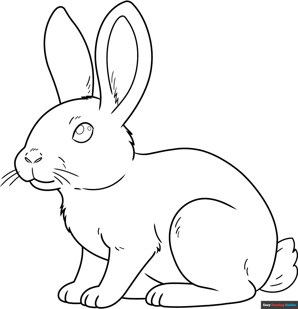 Easy Realistic Bunny Coloring Page Easy Drawing Guides Easy Realistic Bunny Coloring Page Easy Drawing Guides