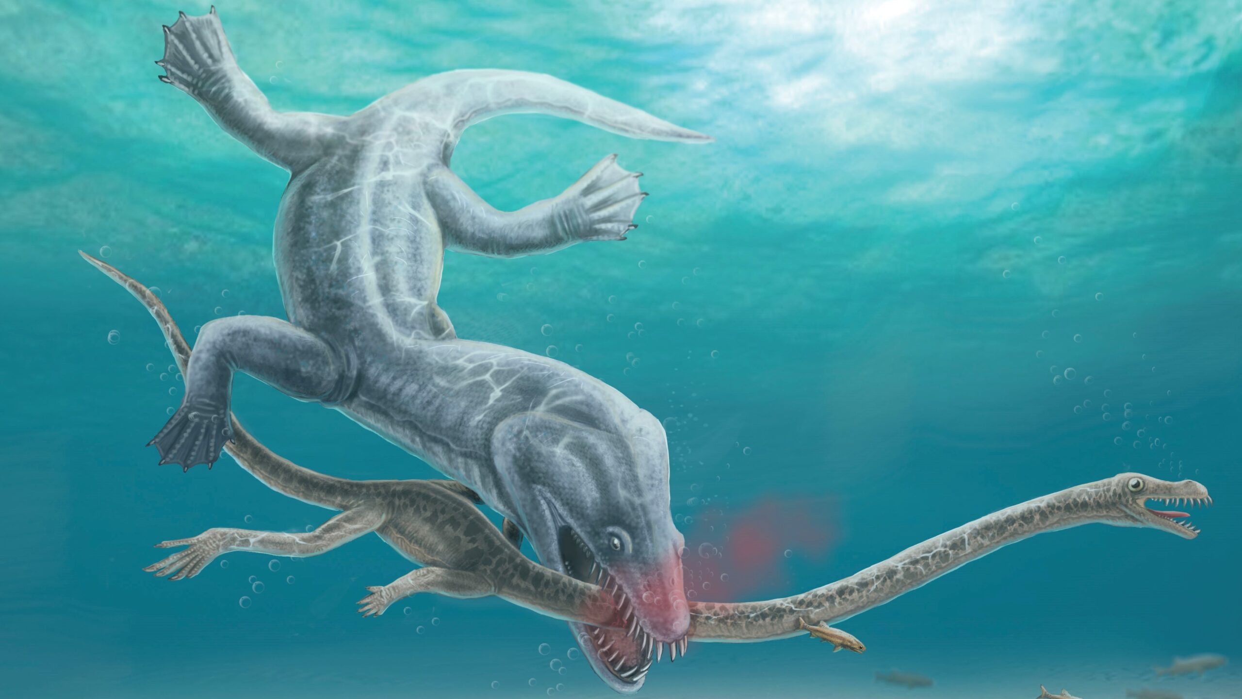 Enormous 240 Million year old Sea Monster Had Its Head Torn Off In One Clean Bite Live Science