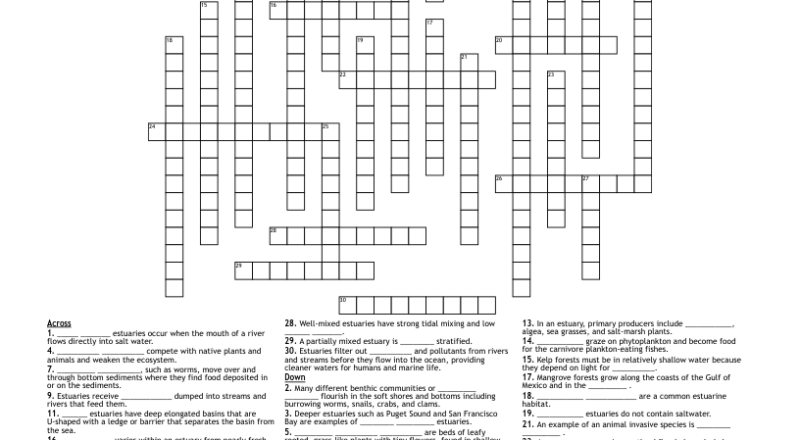 Estuaries Crossword WordMint