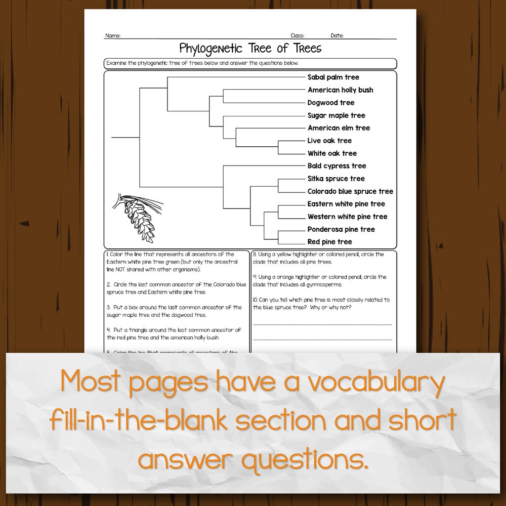 Evolution Homework Pages