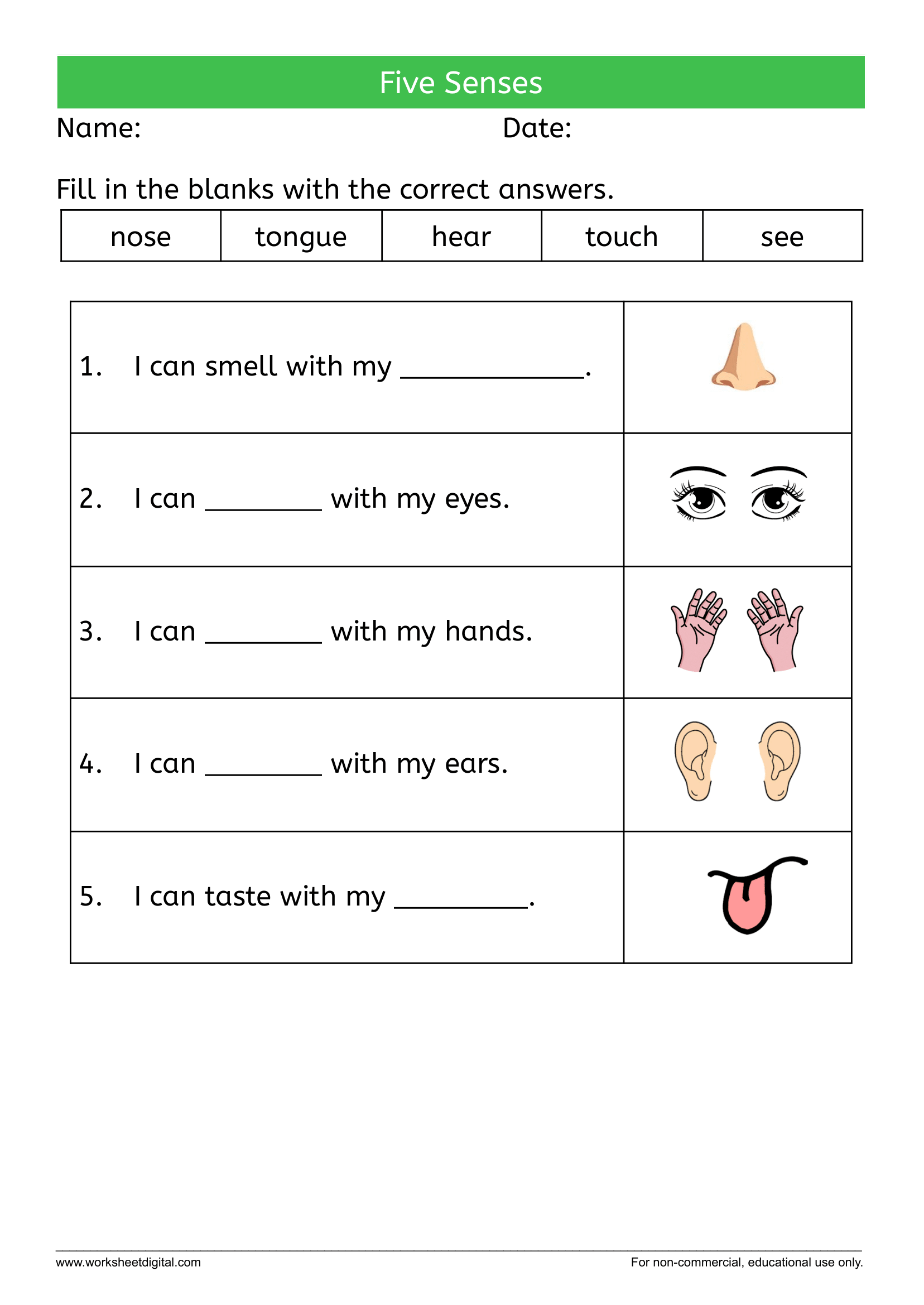 five senses worksheet