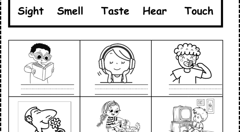 Five Senses Worksheet Free For Kindergarten And Grade 1