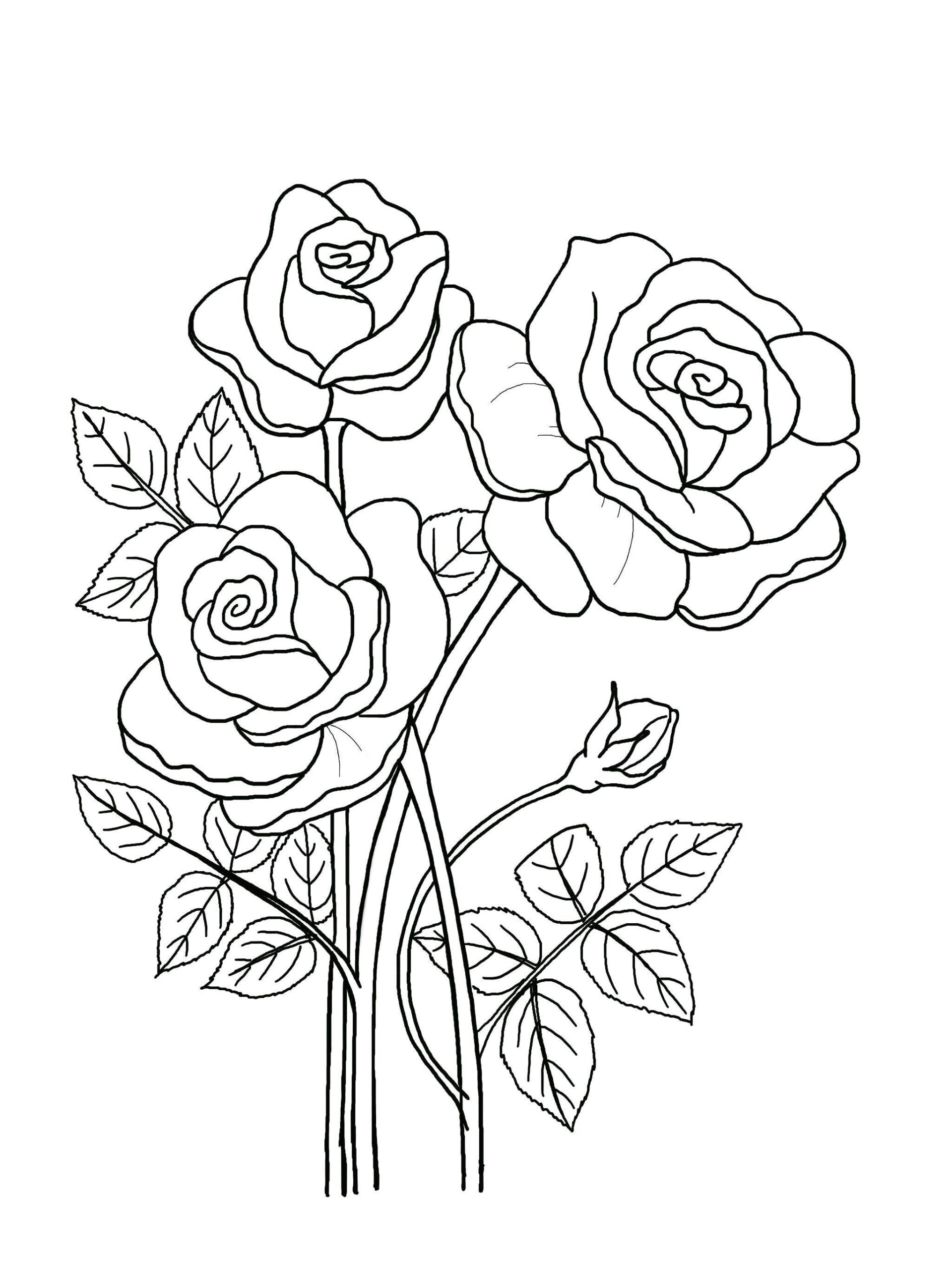 Floral Coloring Pages Hand drawn Flowers 5 page Book PDF JPG Etsy