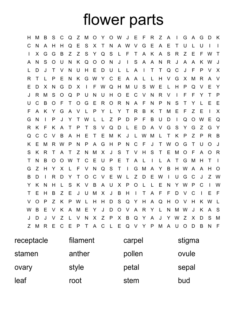 Flower Parts Word Search WordMint