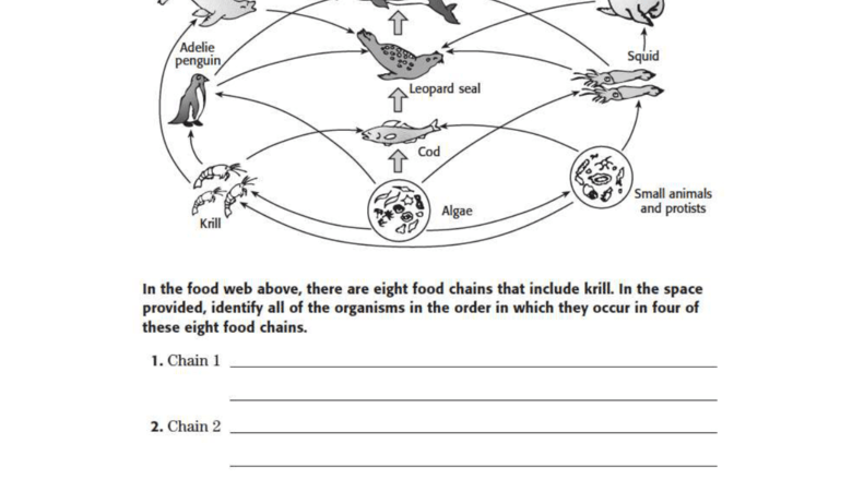 Food Chains And Food Webs Worksheet Aquatic Ecosystem