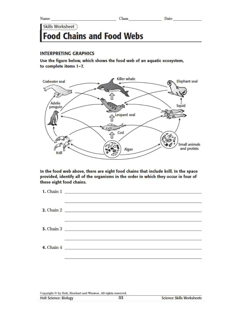 Food Chains And Food Webs Worksheet Aquatic Ecosystem