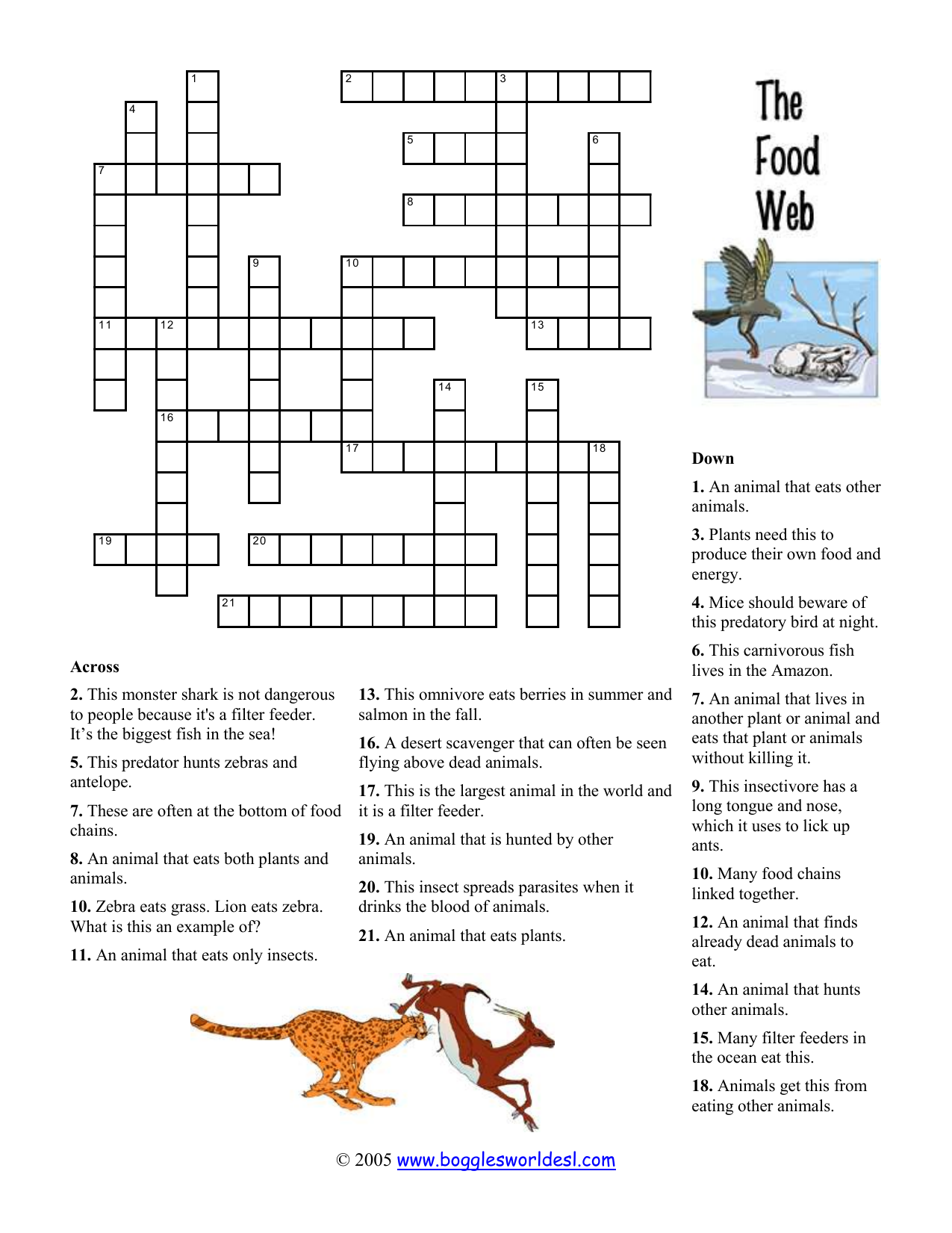 Food Web Crossword Puzzle Ecology For Kids