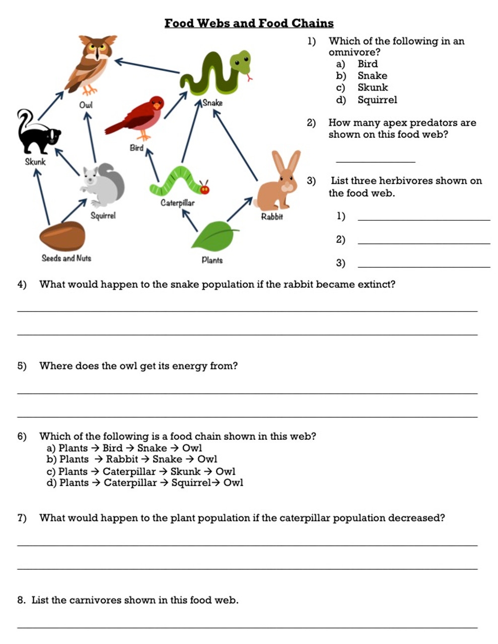 Food Webs And Food Chains Worksheets Free Pintables Worksheets Library