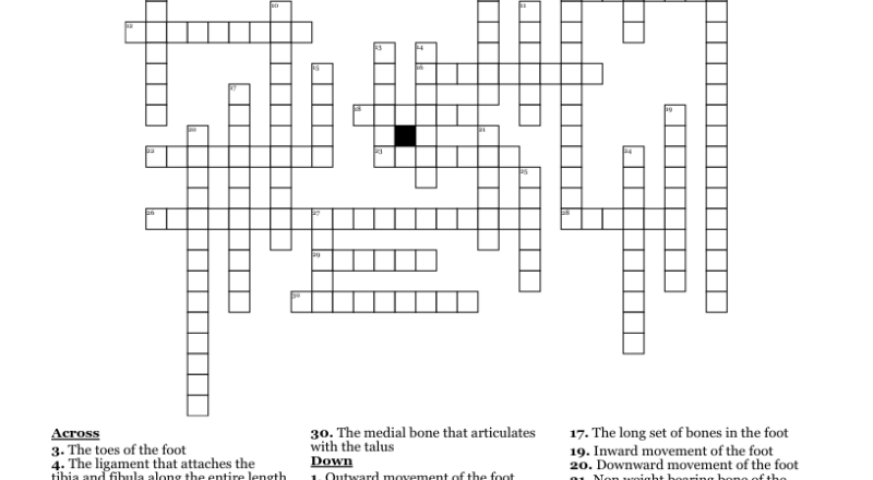 Foot And Ankle Crossword WordMint