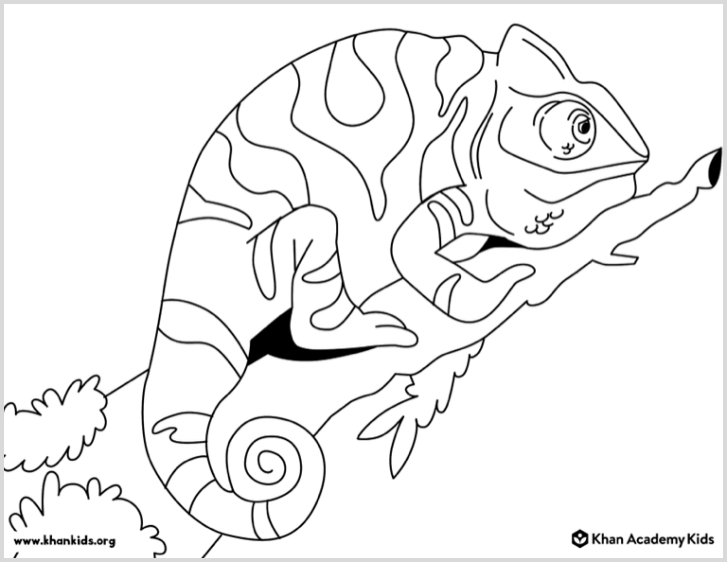 coloring pages of animals coloring pages of animals