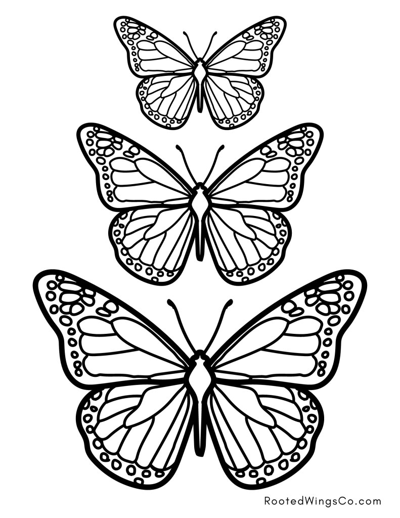 printable pictures to color of butterflies