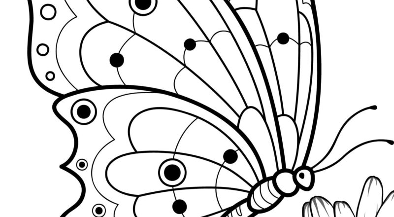 Free Butterfly Coloring Pages To Print Crafty Morning