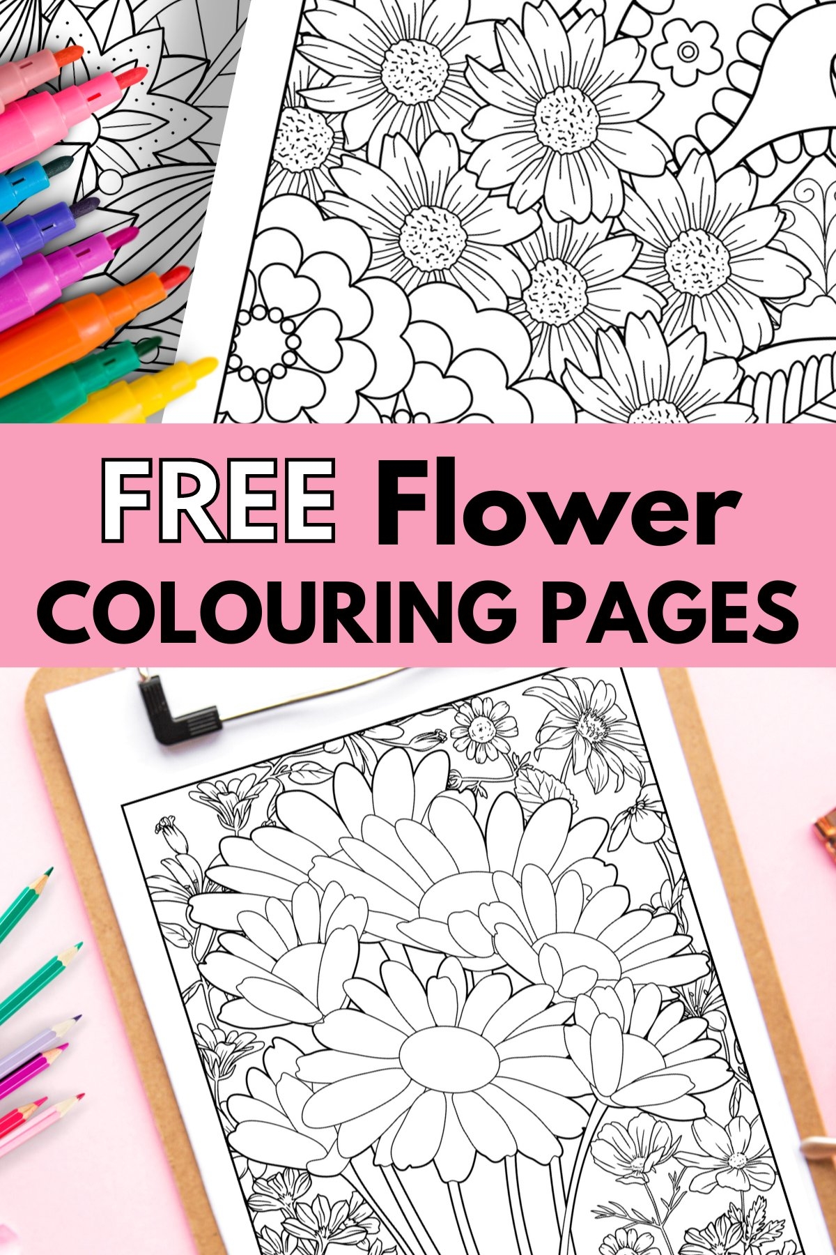 coloring pages for adults free coloring pages for adults free